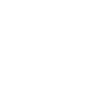 steam